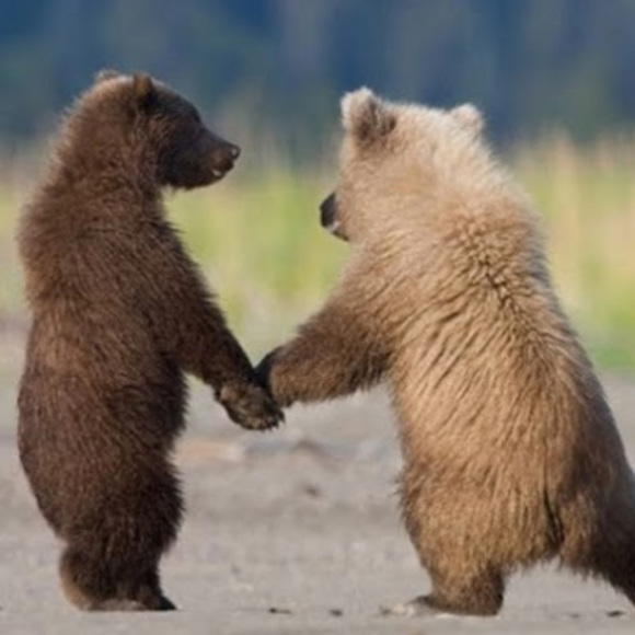 Meet your Posher, Elizabeth - Picture 1 of 1